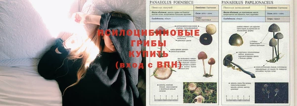 тгк Алексеевка