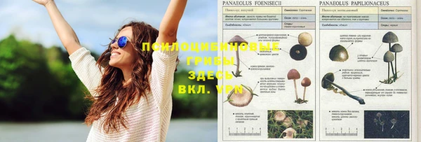 тгк Алексеевка