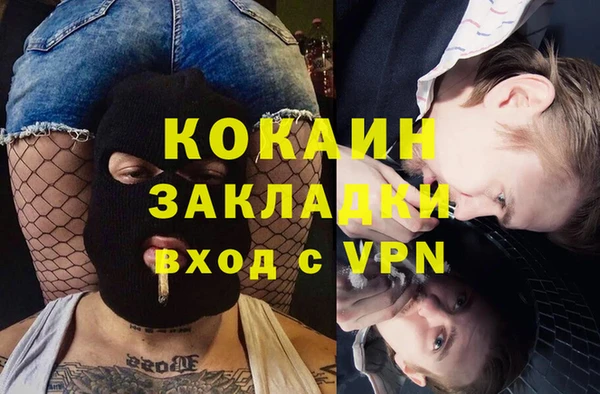 хмурый Алзамай